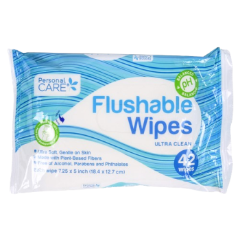 PERSONAL CARE FLUSHABLE WIPES 42 CT